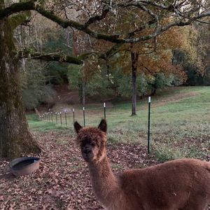 Meet your Posher, Leisa